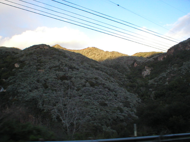 P1010053.JPG