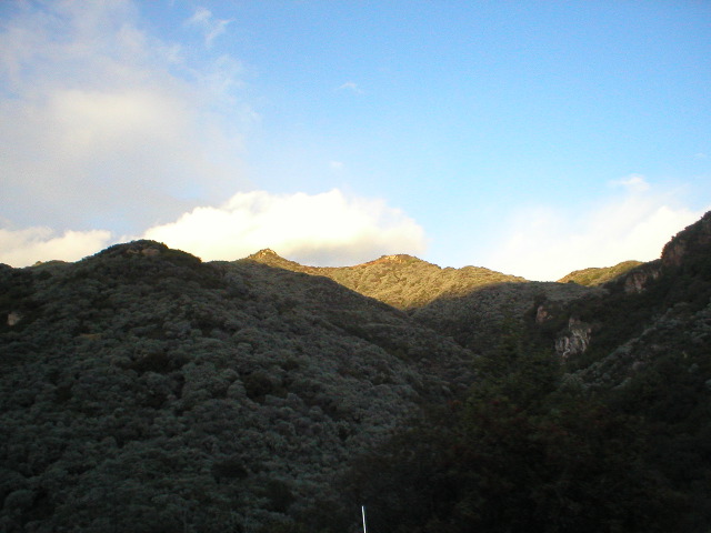 P1010054.JPG