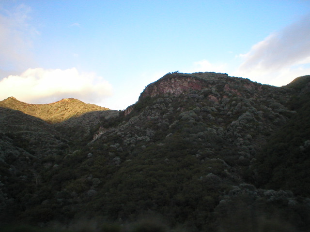 P1010056.JPG