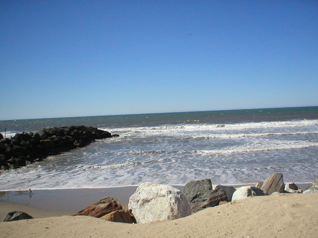 P1010086.JPG