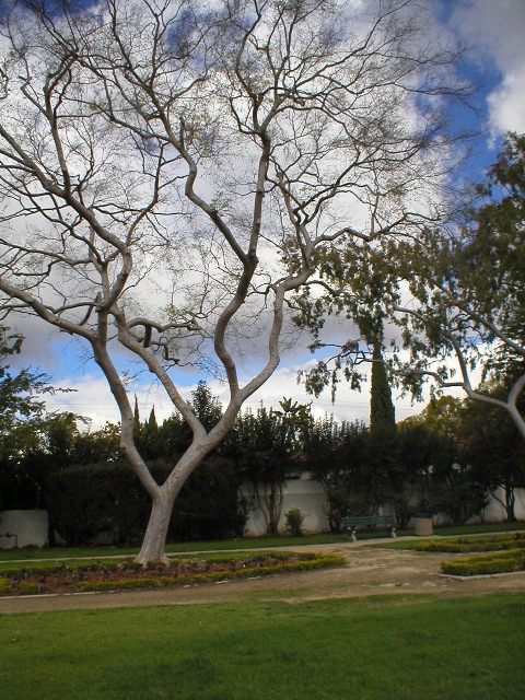 P1010271.JPG