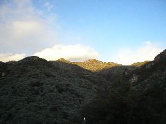 P1010054.JPG