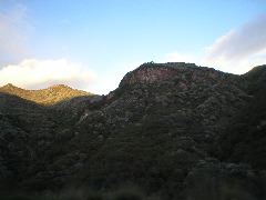 P1010056.JPG