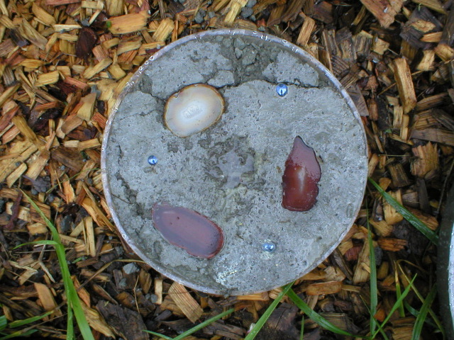 P1010030.JPG