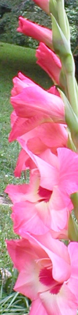 P1010029_2