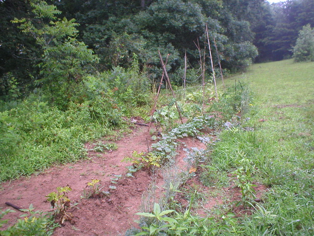 P1010187.JPG