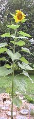 P1010028_2